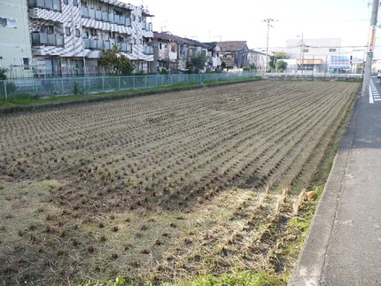 P1800003