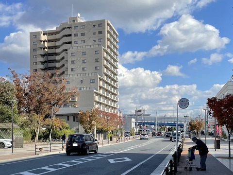 733BD303-66F5-43A6-A6F8-D98409929D70