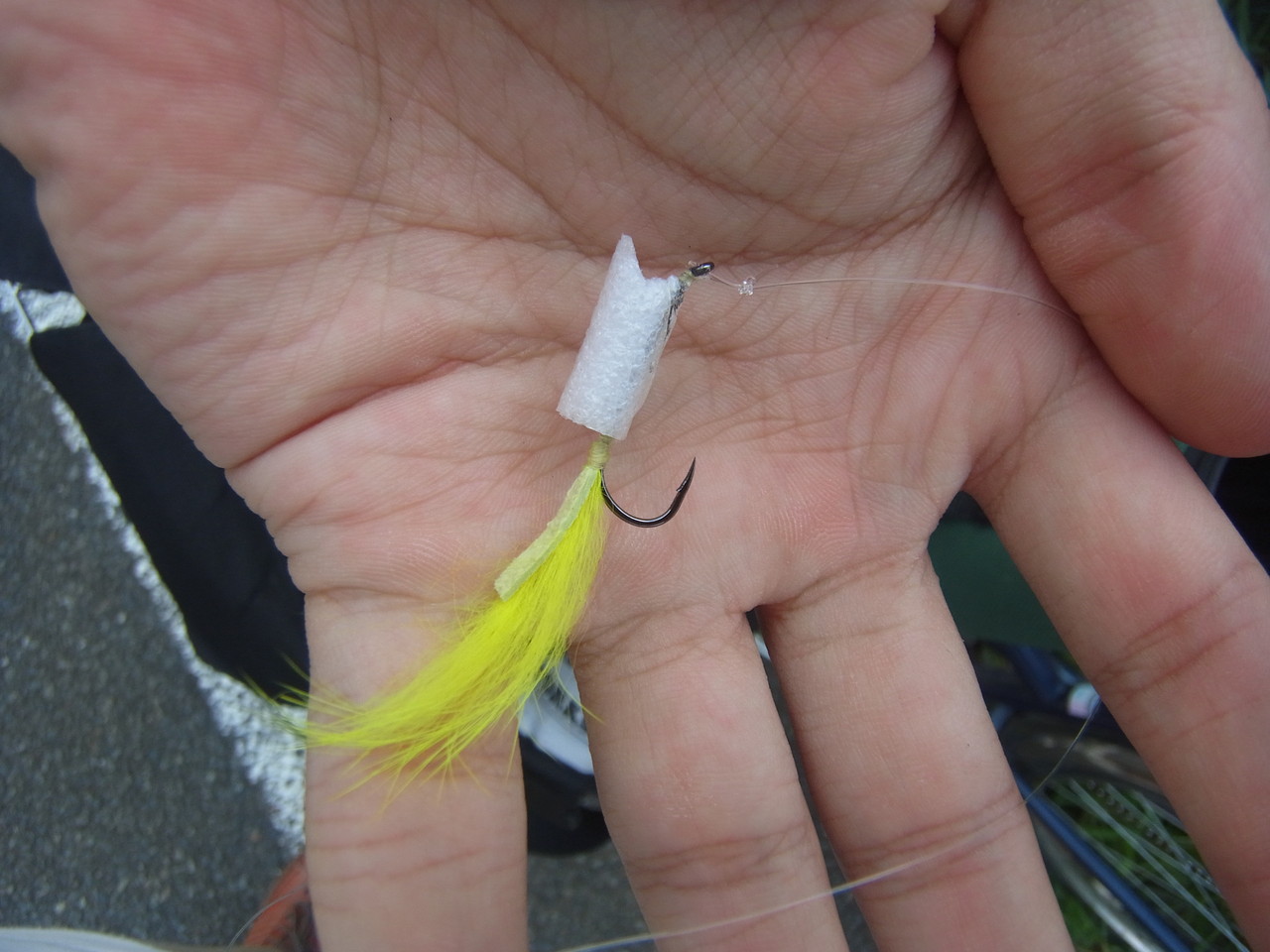 7月30 31日 フライでコイ そしてテナガエビ釣行のはずが 落合川 小魚との戯れ 7月30 31日 フライでコイ そしてテナガエビ釣行のはずが 落合川 小魚との戯れ