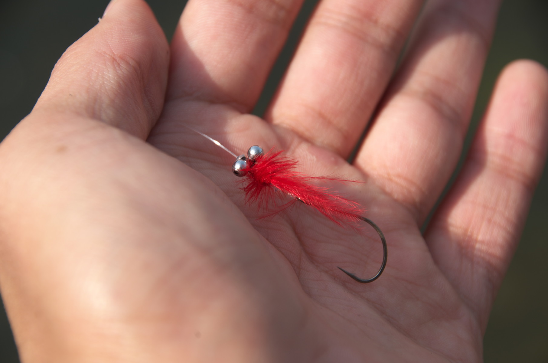 3月12日 今年も春がやってきた 柳瀬川 小魚との戯れ 3月12日 今年も春がやってきた 柳瀬川 小魚との戯れ