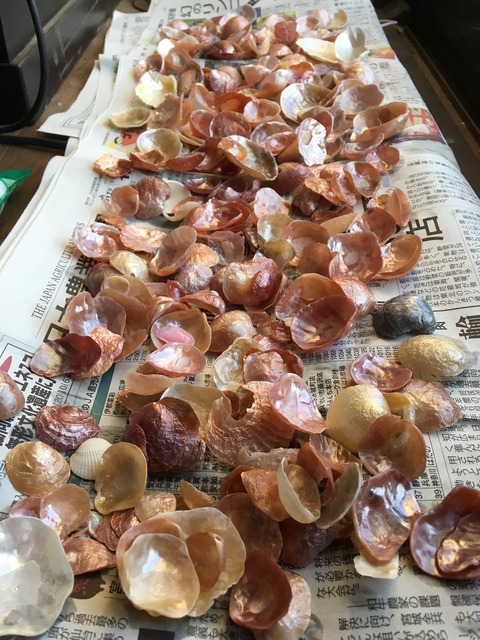 DE917841-30B7-495B-8767-70C9CDB2364A