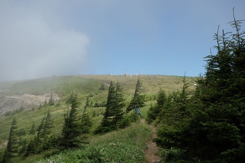 DSC02738