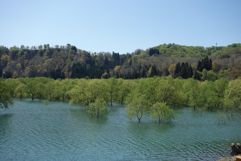 DSC06583