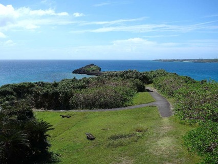 DSC06978