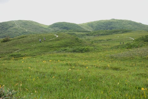 DSC06825