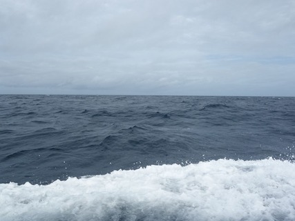 DSC06936