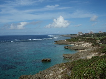 DSC07236