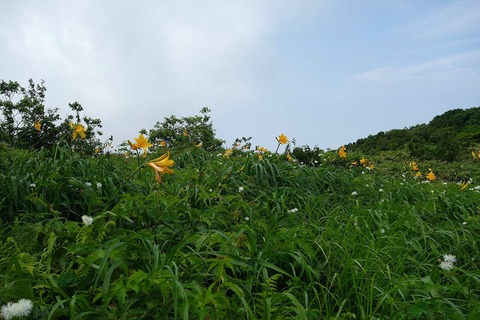 DSC04580