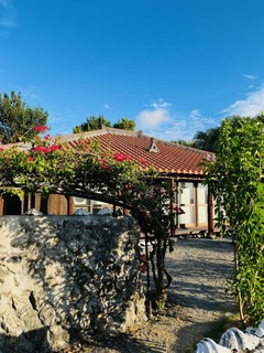 IMG_3029
