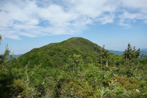 DSC06722
