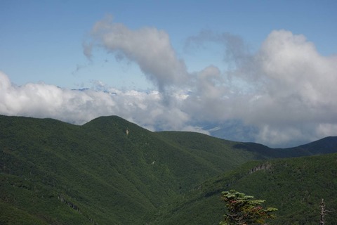 DSC07381