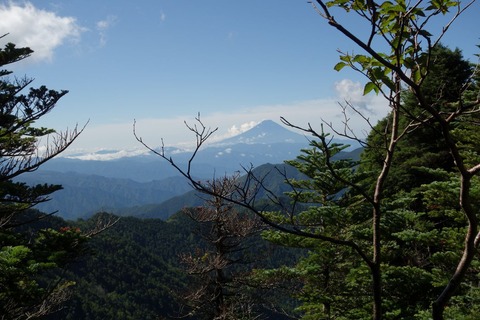 DSC07360