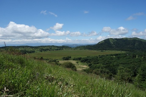 DSC02677
