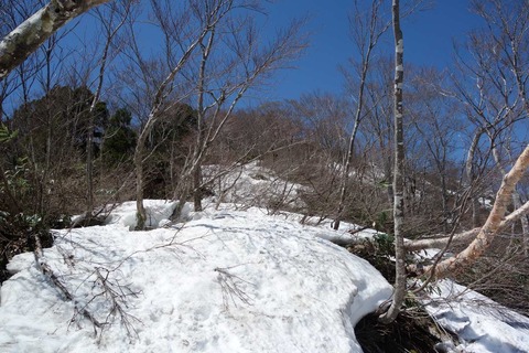 DSC06646