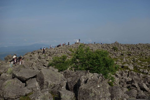 DSC07287