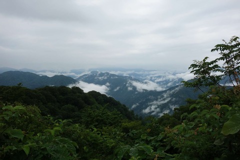 DSC06748