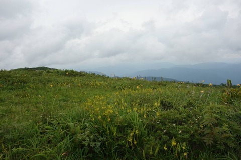 DSC06806