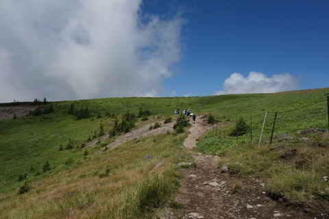 DSC02733