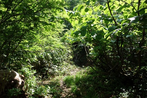 DSC04570