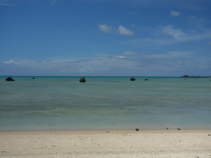 DSC07171