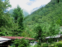 IMG_8889
