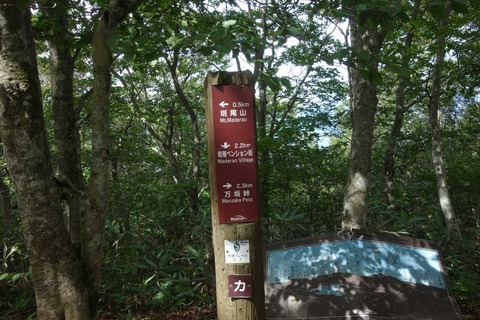 DSC07433