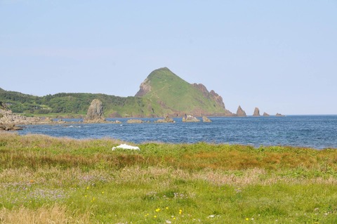 DSC_3063