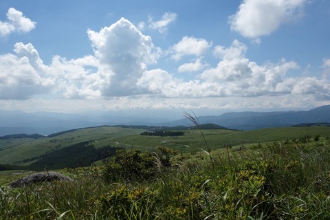 DSC02708