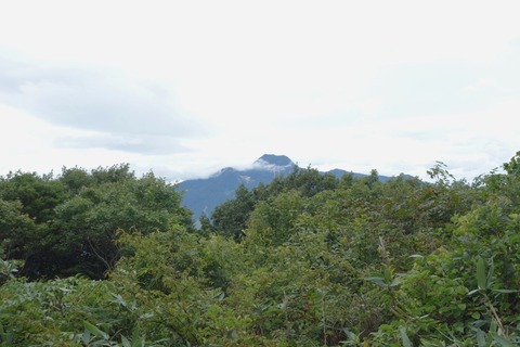 DSC07457