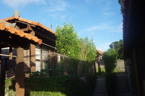 DSC05438
