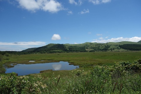 DSC02673