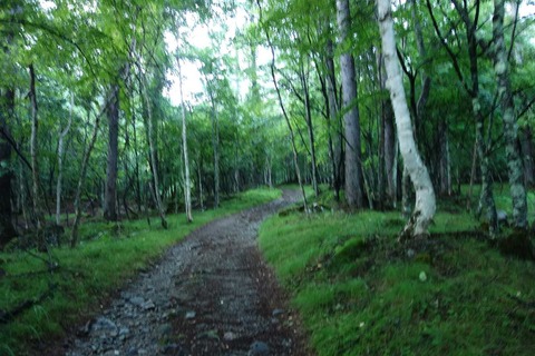 DSC07329