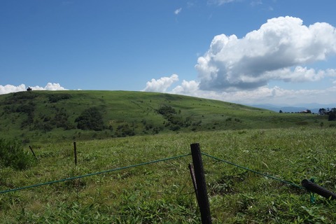DSC02691