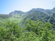 IMG_8863