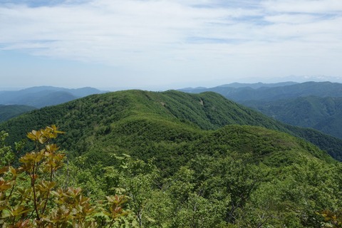 DSC06720