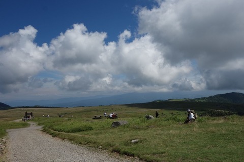 DSC02773