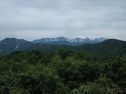 IMG_0990