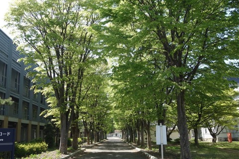 DSC06620