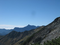 IMG_8379
