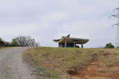 DSC_6123