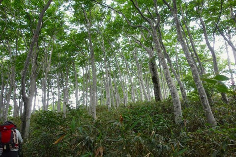 DSC06768