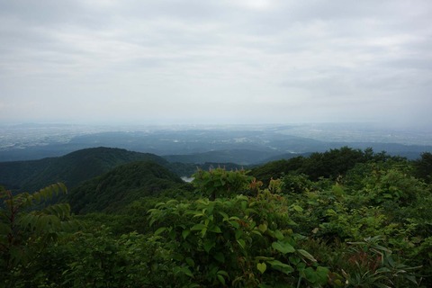 DSC06747