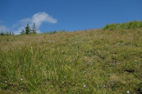 DSC02740