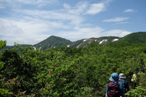 DSC04547