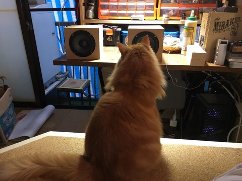 8ad7692d-436b-491e-b794-f0933e4b110d