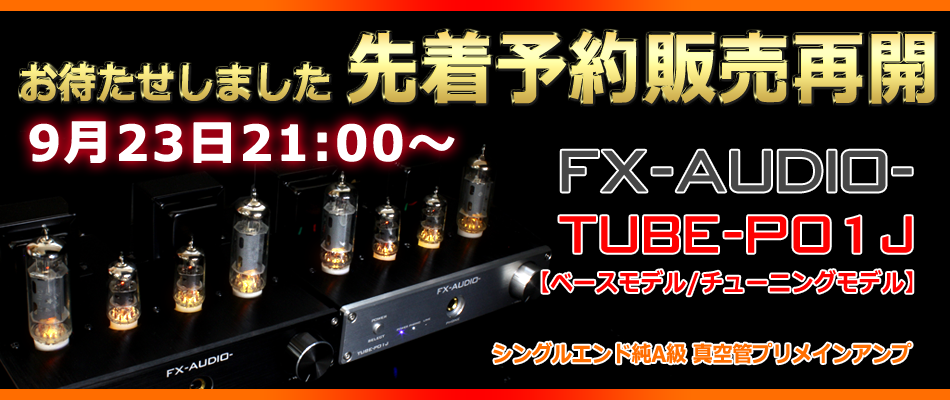 FX-AUDIO TUBE-P01J【チューニングモデル】予備真空管付き！！