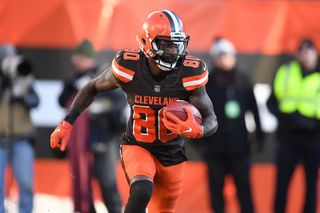 Browns-01-6