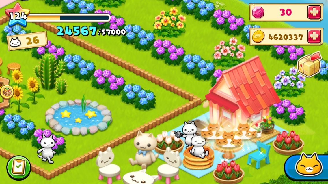 星の島のにゃんこ ホットケーキ可愛いすぎる 自己満足の日々 星の島のにゃんこ ホットケーキ可愛いすぎる 自己満足の日々
