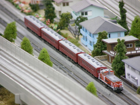 29