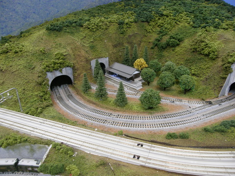 P6030003